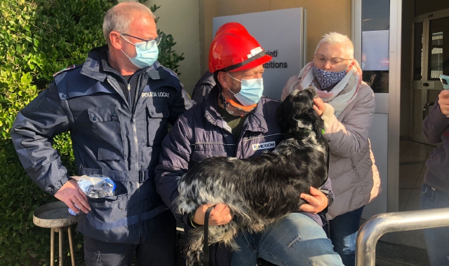 Il cane salvato a Solbiate Olona (foto Redazione)