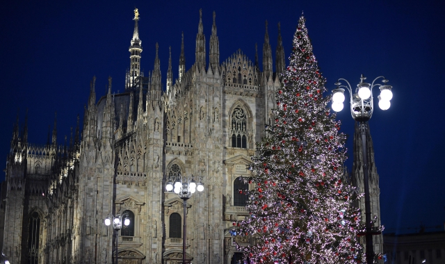 In piazza Duomo l’abete di Cittiglio