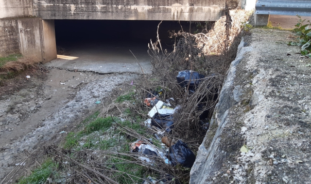 Qui, a sinistra e sopra il titolo: il quadro che si presentava ieri nel punto di torrente che attraversa Arnate tra sacchi neri e sacchetti per deiezioni