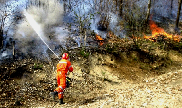 Incendio boschivo in Valganna  (foto Archivio)