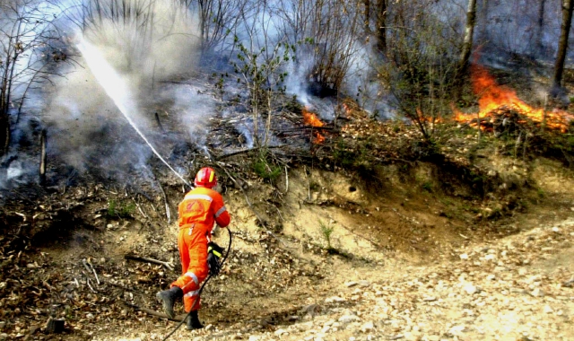 Incendio boschivo in Valganna (foto Archivio)