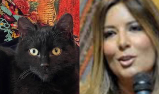 Selvaggia Lucarelli adotta gatto di Luino