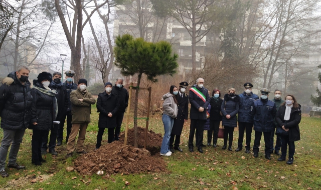 Saronno, un pino per Pino