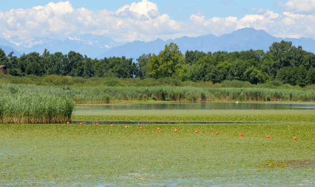 Il fenomeno del lago colorato di verde si è particolarmente intensificato a partiredal mese di ottobre 2021 (foto Blitz)