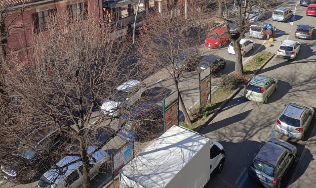 Piante cadute e disagi al traffico a Saronno (foto Blitz - Domenico Ghiotto)