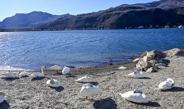 Il lago Ceresio in ritirata
