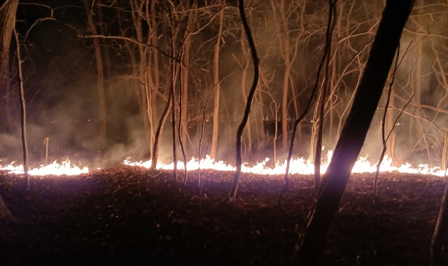 Marnate, rogo nel bosco dello spaccio
