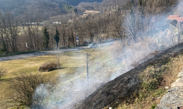 Una parte del pratone dove si è sviluppato l’incendio