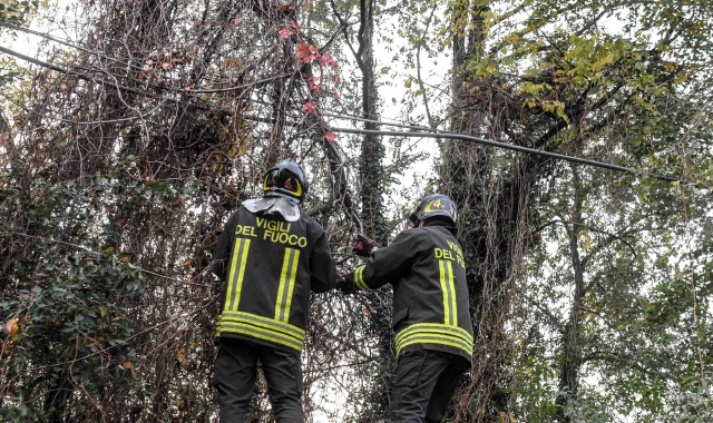 Luvinate, boscaiolo ferito al Poggio
