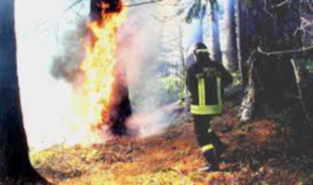 Un incendio boschivo sviluppatosi nei giorni scorsi in provincia di Varese