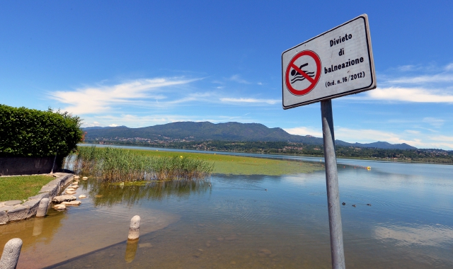 «Quest’estate tuffi nel lago di Varese»