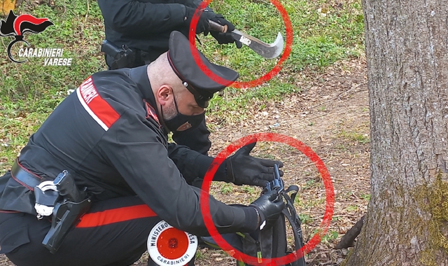 La pistola e il falcetto trovati dai carabinieri di Luino (foto carabinieri)