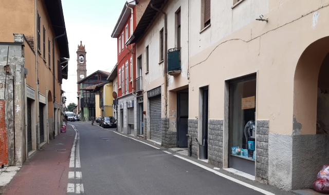 Il gregge in cammino a Cairate (foto Redazione)