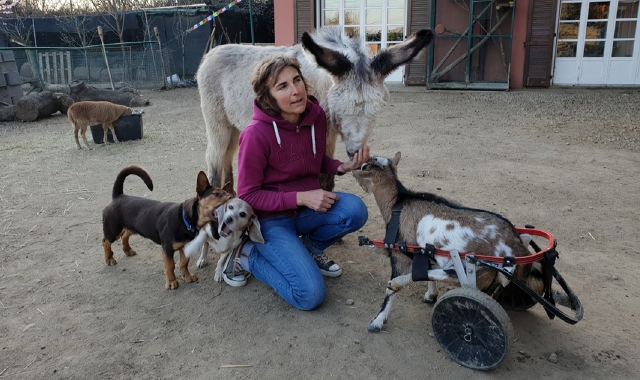 Agrate, oltre 130 animali salvati in quattro mesi