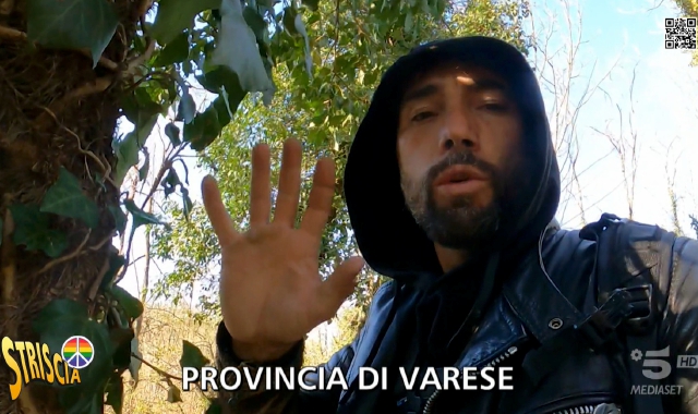 Brumotti nei boschi della droga tra Malnate e Vedano