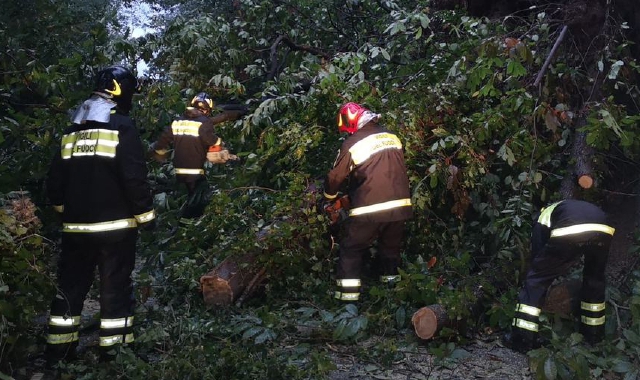 I vigili del fuoco al lavoro (foto Archivio)