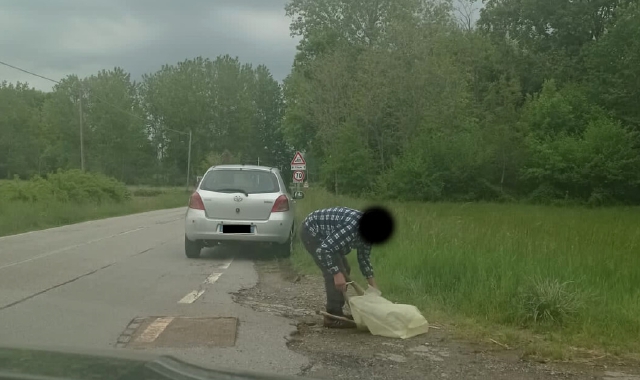 La foto fatta da testimoni e inviata al Rifugio Minetta