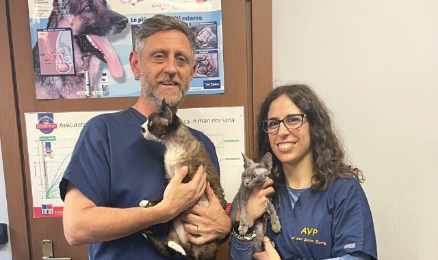 Il veterinario Mattia Basilico (foto redazione)
