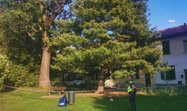 Il parco Shapira dove c’è l’allarme per uno sciame di api