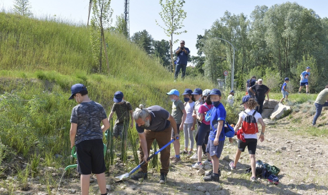 A 40 alunni delle elementari di Daverio è stato affidato il compito di piantare gli ultimi 40 alberi