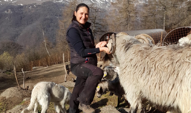 «Sto con capre e alpaca»