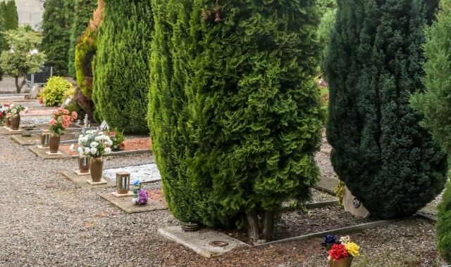 Ladri nei cimiteri: «Rubano anche i nomi dei morti»