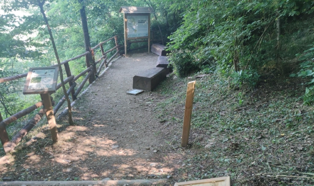 Vandali al parco di Gorla Maggiore, controffensiva Gev
