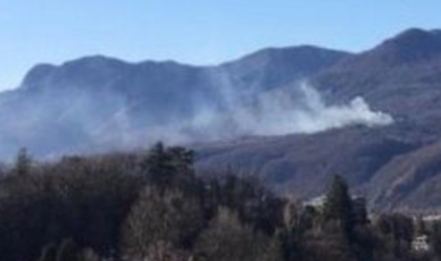 L’incendio dell’11 febbraio 2020 interessò oltre 50.000 metri quadrati di bosco, buona parte del quale composto da castagneti (foto Redazione)