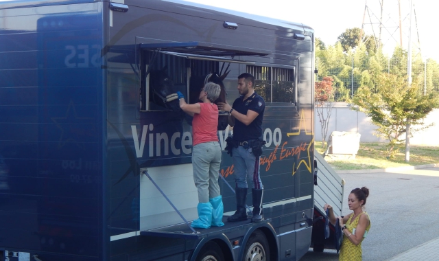 Il camion che trasportava i cavalli