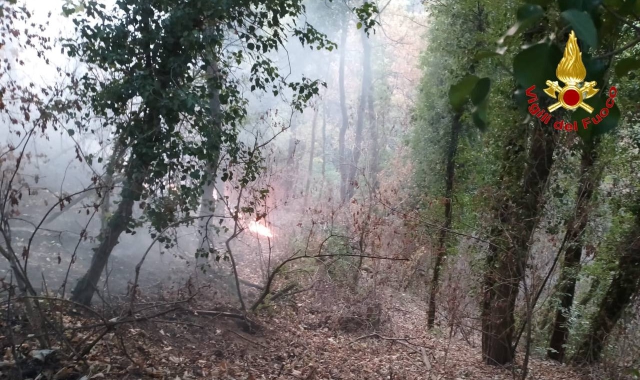 Golasecca, fiamme vicino a due case