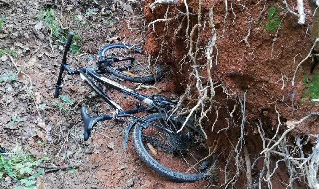 Bici abbandonate nella zona del Parco Pineta