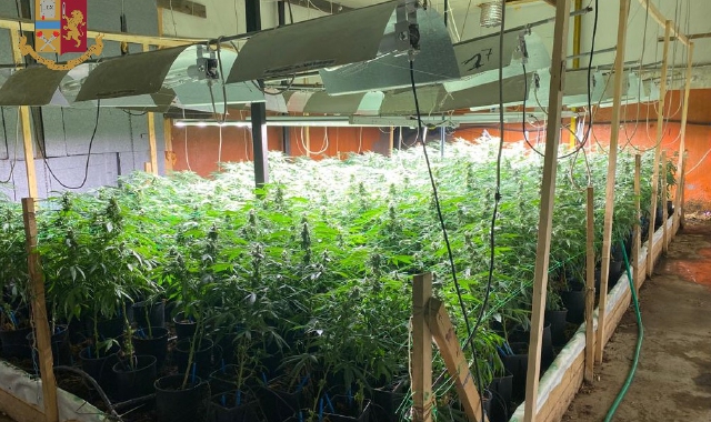 Parte del capannone dove era coltivata la marijuana (foto Polizia di Stato)