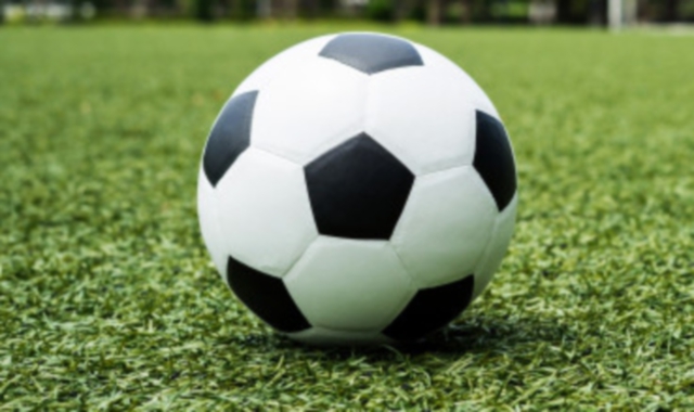 Frase discriminatoria, 10 turni a calciatore del Varese U18