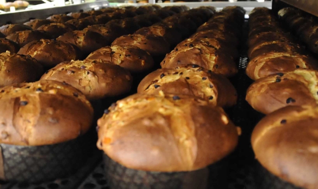 Nel Legnanese la casa del panettone artigianale
