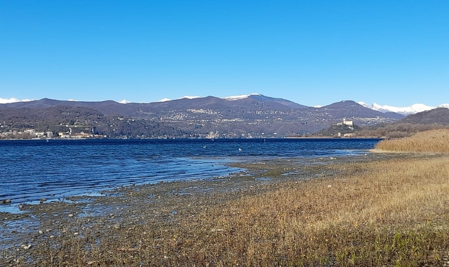 Il bacino è anche un corridoio di passaggio per molti migratori