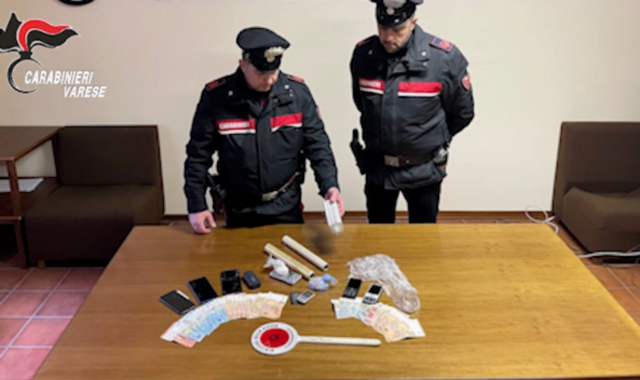 La droga sequestrata dai carabinieri nei boschi a Sangiano