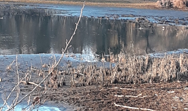 Lago Maggiore, Arona (foto redazione)