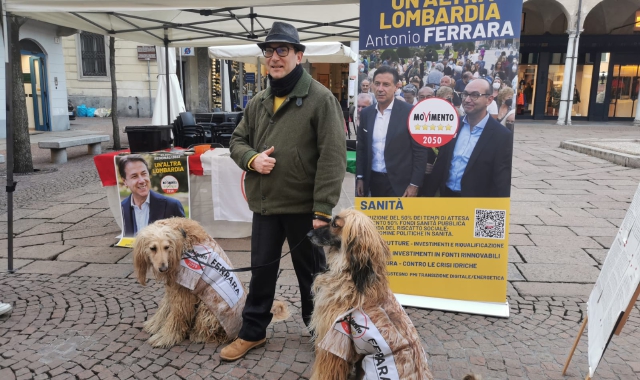 Varese, levrieri afgani in campagna elettorale