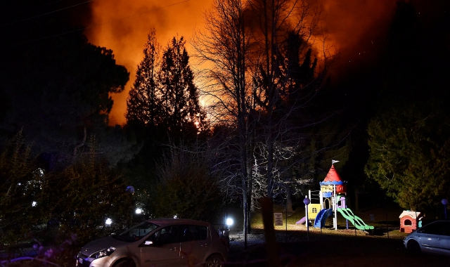 Prosegue il processo per il devastante incendio del gennaio 2019 nei boschi del monte Martica