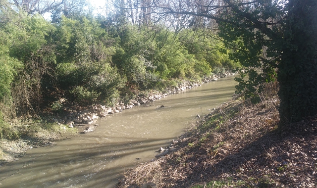 Immagine di oggi, venerdì 3 febbraio, del fiume Olona (foto archivio)