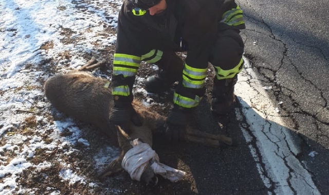 Borgomanero, mattinata di incidenti