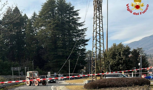 Varese, albero abbatte linea elettrica: cavi sulla strada