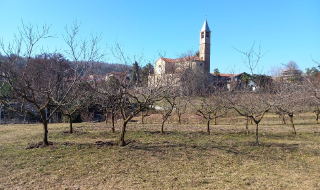 La zona di Montrigiasco dove è stato avvistato il lupo (foto Robberto)