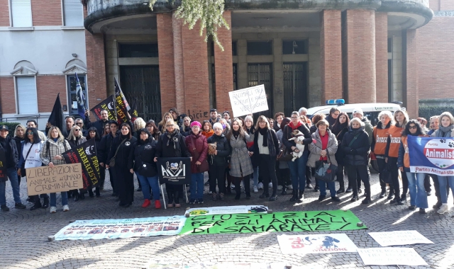 Samarate, animalisti in rivolta