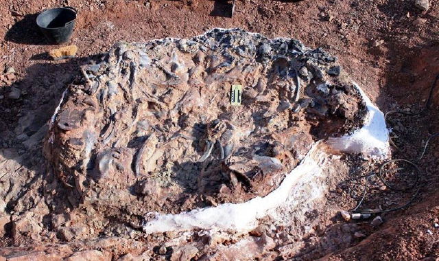 T-Rex sul Monte Lema? Sentiero chiuso