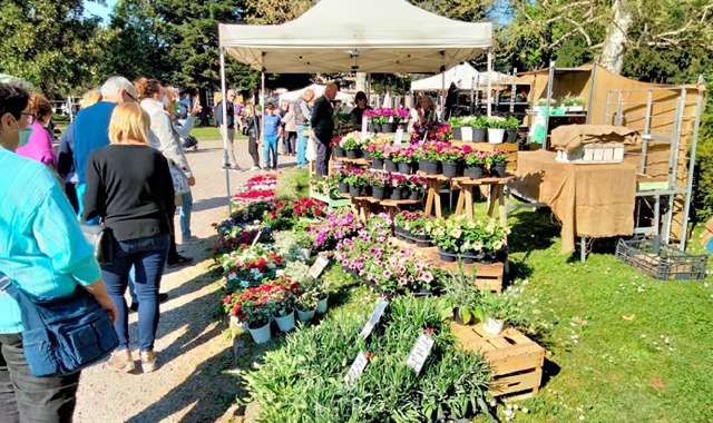 Fiera dell’Angelo e Floribunda, Inveruno in vetrina