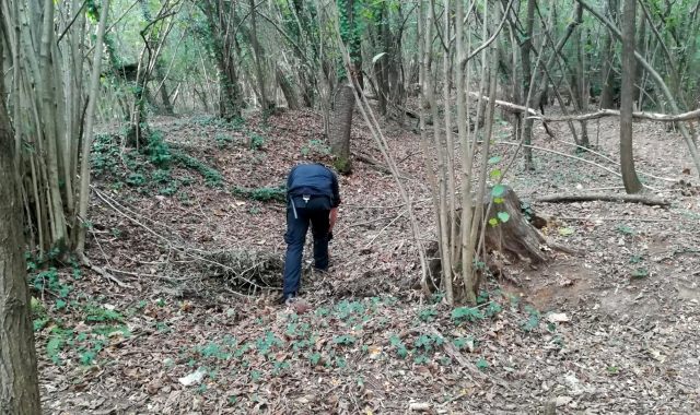 I cacciatori dell’Arma nei boschi della droga del Varesotto