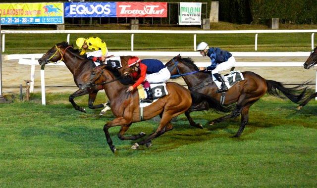 Trotto e galoppo in retromarcia