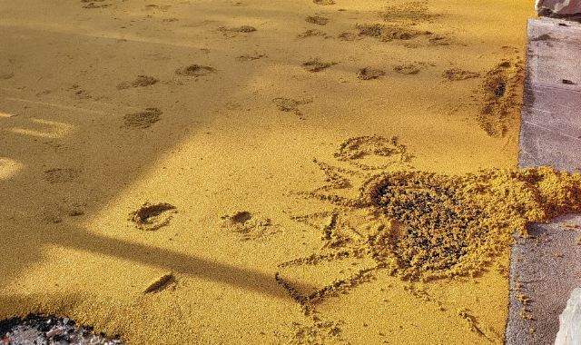 La scritta sulla base del nuovo gioco del parco inclusivo