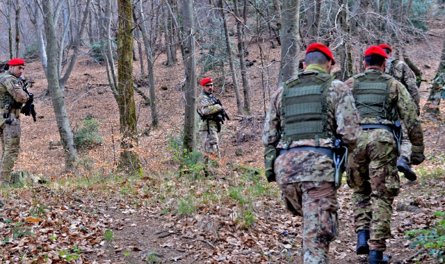 Pusher tenta la fuga nei boschi: arrestato a Cunardo